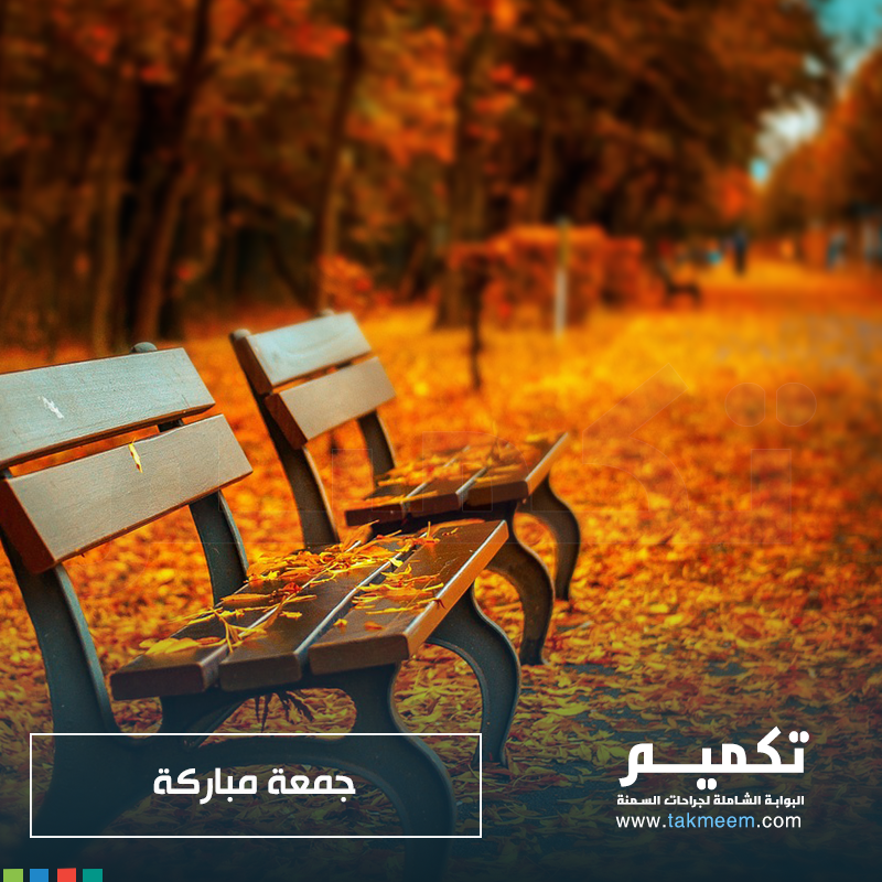 تكميم دوت كوم tweet media