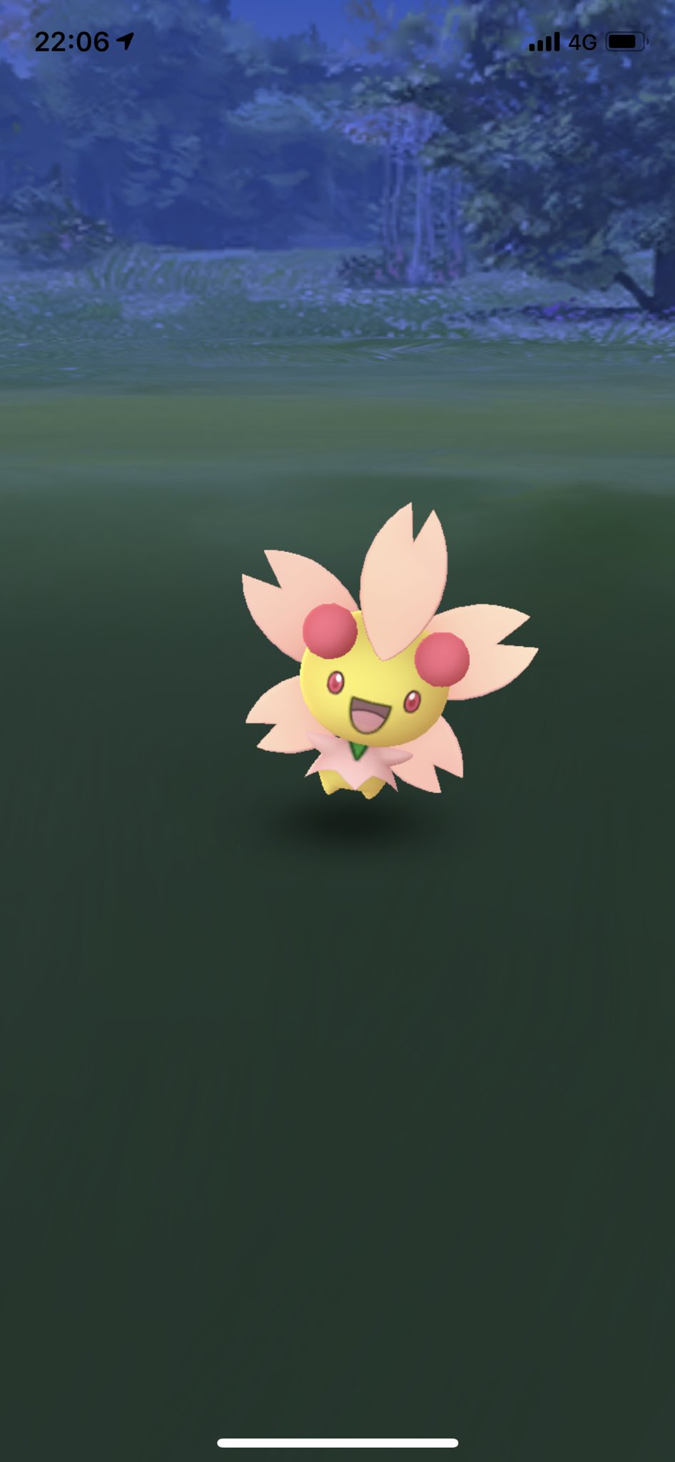 ひろ チェリムって可愛いからついつい捕まえちゃうよね ポジフォルムもネガフォルムも ポケモンgo チェリム ポジフォルム ネガフォルム Pokemongo T Co Tqbydderwo Twitter