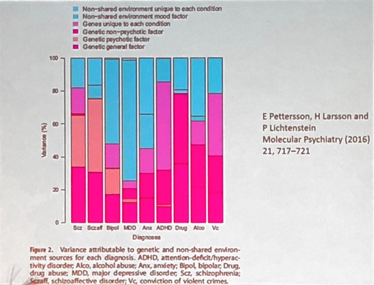 Boris Chaumette (@borischaumette) on Twitter photo In case you still have a doubt, <a href="/jonathan_flint1/">Jonathan Flint</a> demonstrates in #WCPG2019 that major depressive disorder has genetic bases. Some of these bases are specific and some are shared with other disorders and with personality. #WCPG19 In case you still have a doubt, <a href="/jonathan_flint1/">Jonathan Flint</a> demonstrates in #WCPG2019 that major depressive disorder has genetic bases. Some of these bases are specific and some are shared with other disorders and with personality. #WCPG19