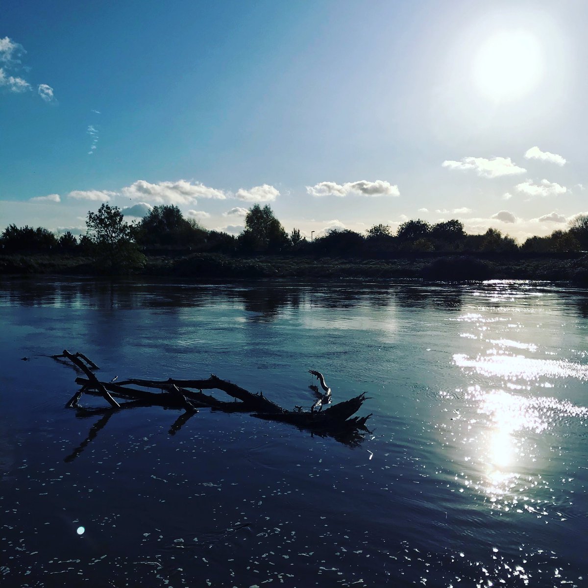 Gorgeous day for a bike ride but my garmin died about a mile in to a ten miler 🙈
If it’s not logged did it even happen? 😂
Tech fails happen to us all. 🤷‍♀️ But it was so worth it, enjoying a day like this.#garminranoutofbattery #techfail #bikeride #lifeoutdoors