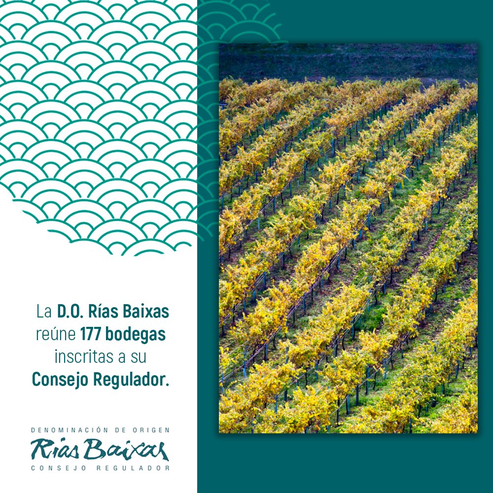 Rías Baixas MX tweet media