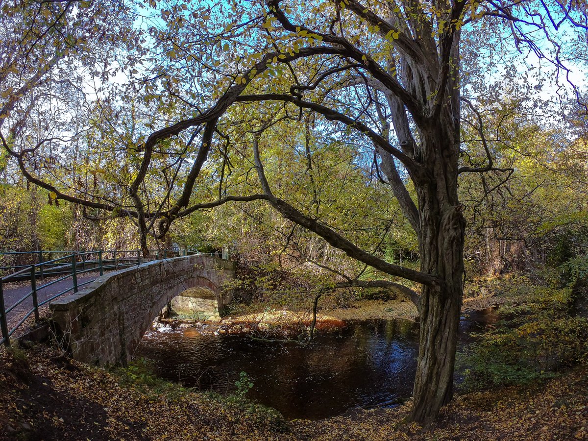 #CraiglockhartDell #ColintonDell #Autumn #AutumnColour #edinphoto