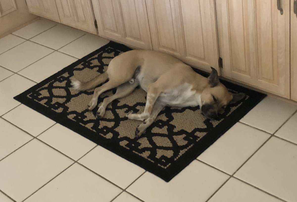 Chris Glasscock 🏃🏻‍♂️🚴🏼‍♂️ tweet media