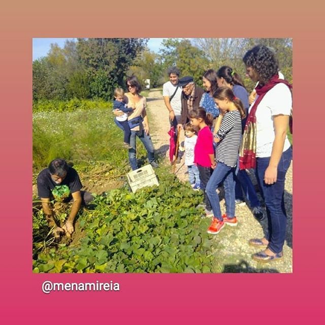 agroecologic's tweet photo. Avui, "A tota arrel". Dins de la #setmanabio  hem organitzat una activitat per a descobrir les arrels de tardor. Han participat gent de totes les edats: des de nens de 2 anys a un avi de 97. Tots hem descobert coses noves! .
.
#Sompagesos
#Viscalaterravi… https://t.co/BHoxKdbc6M https://t.co/2wy1rgJ799