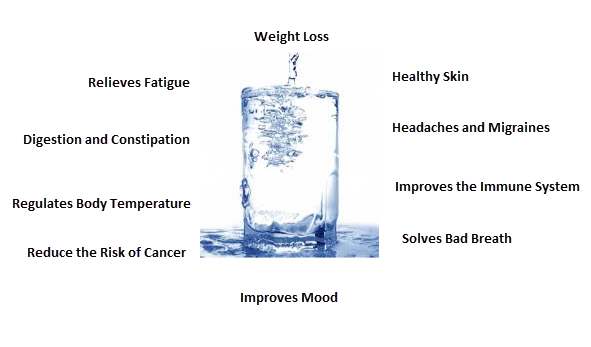 atdwaterspecial's tweet photo. For a healthier you drink water daily at least 8 by 8 ounces glass - that's half a gallon of water (about 2 liters). 

https://t.co/0vSBXCbzex

Save a life today, have a drink on us.

Call, we will guide you to a healthier you

#water #health #thirst #quench #daily #drink #cheers https://t.co/fUnWM6hinB