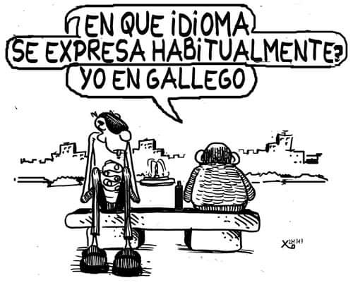 ChambrasGalegas's tweet image. Así saen as enquisas...
#HumorGalego #LinguaGalega #OGalego #QueremosGalego #GústameOGalego