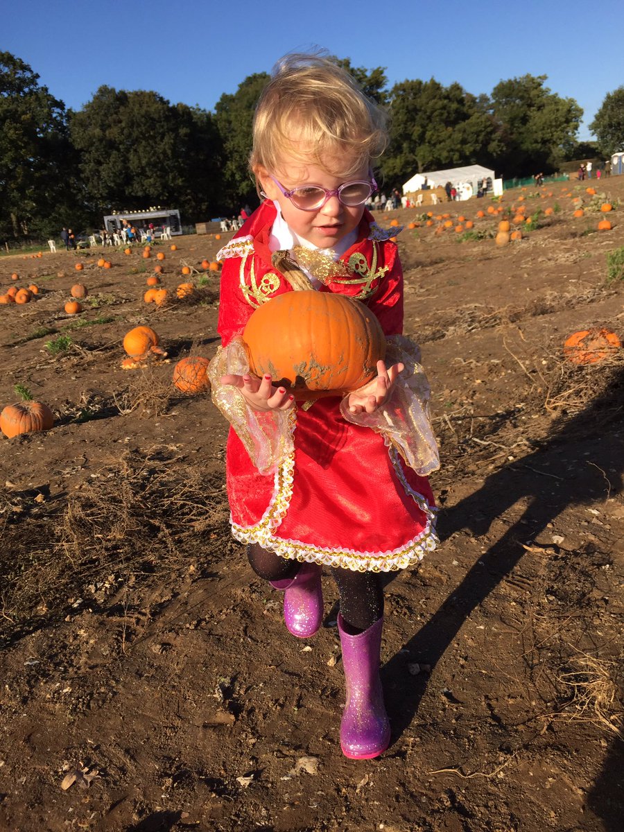 Camille Berriman tweet media