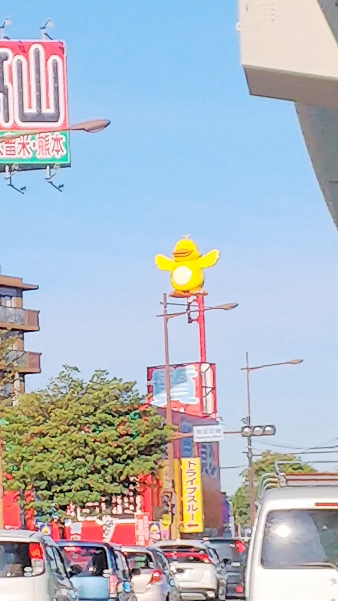 高山質店 買いトリくんタオル(非売品)