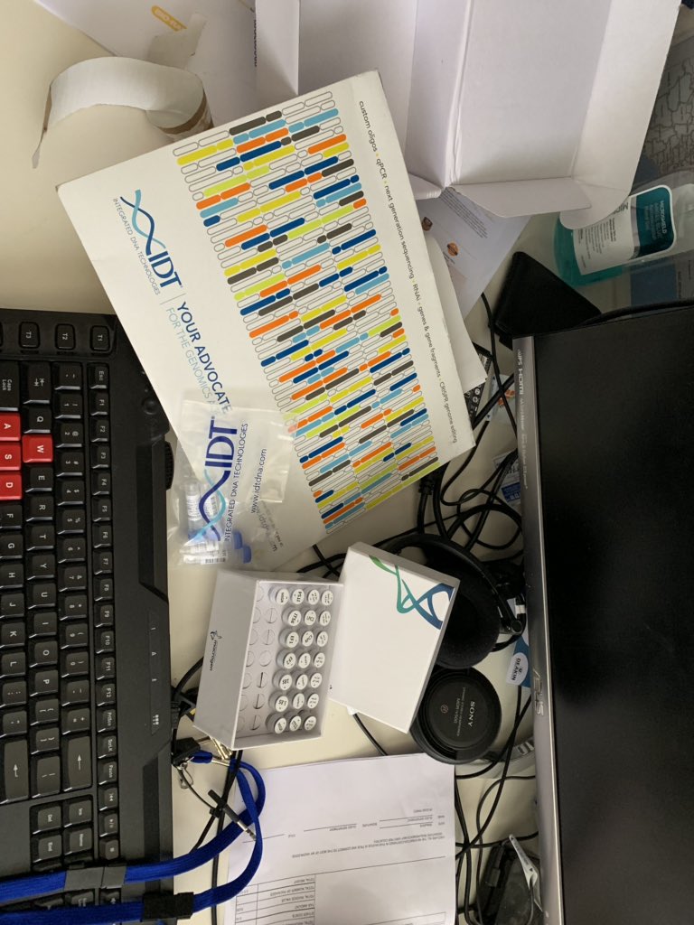 LeeHudek's tweet photo. Primers targeting fungal pathogens associated with #canola have just arrived; time to hit the lab. Our aim is to develop a robust, rapid and cost effective solution to detect pathogen presence in soils @SmartAgricare  @CerrfD @CanolaGrowers @Think_Agri https://t.co/OUsmb1IILQ
