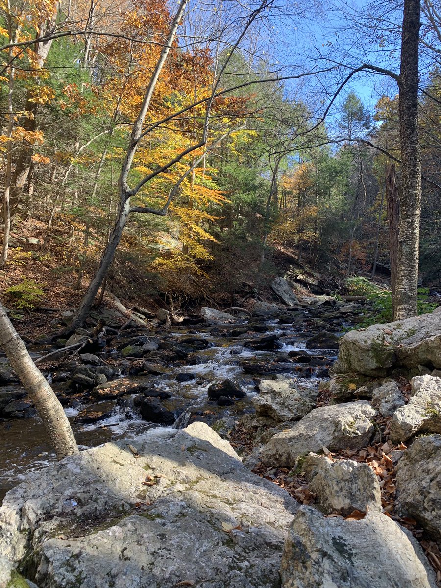 Beautiful Saturdayin New England!