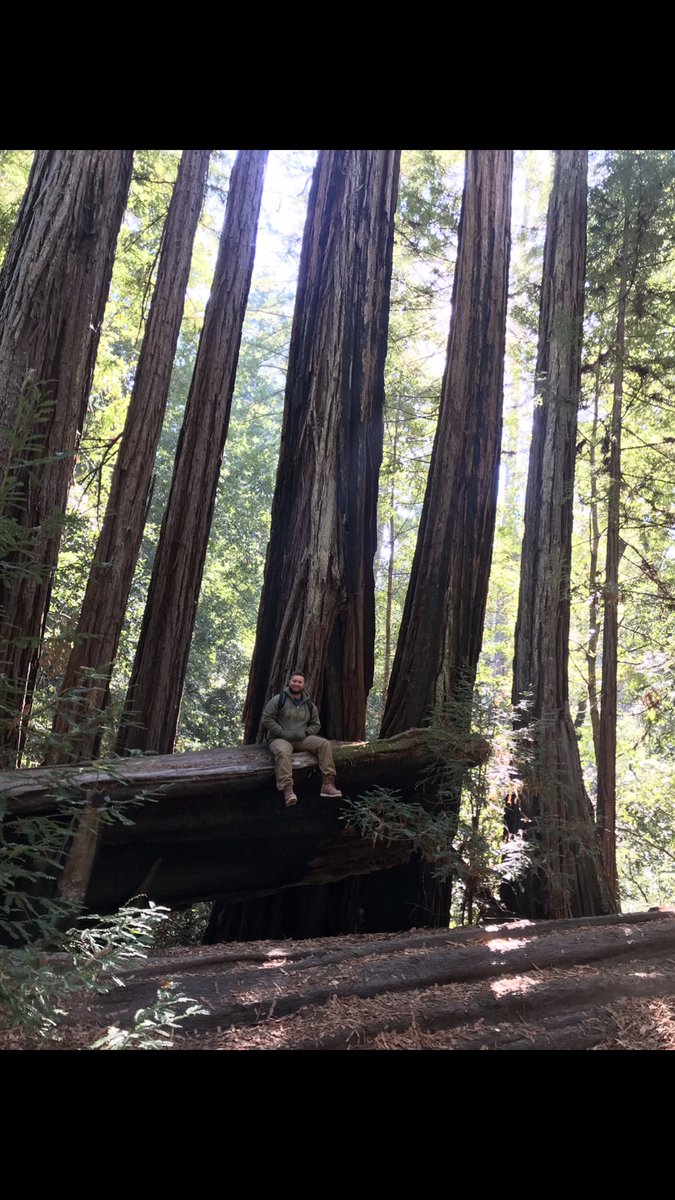 devin59fox's tweet photo. Finally got to see the redwood trees of California https://t.co/iXoifjZzdg