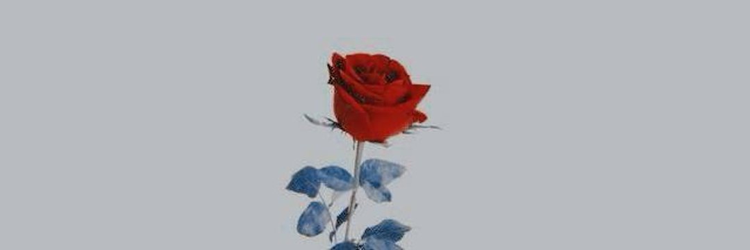 ⠀⠀⠀ ⠀⠀⠀ ⠀⠀⠀ ⠀⠀         ✧ 레이아웃.⠀⠀⠀ ⠀⠀⠀