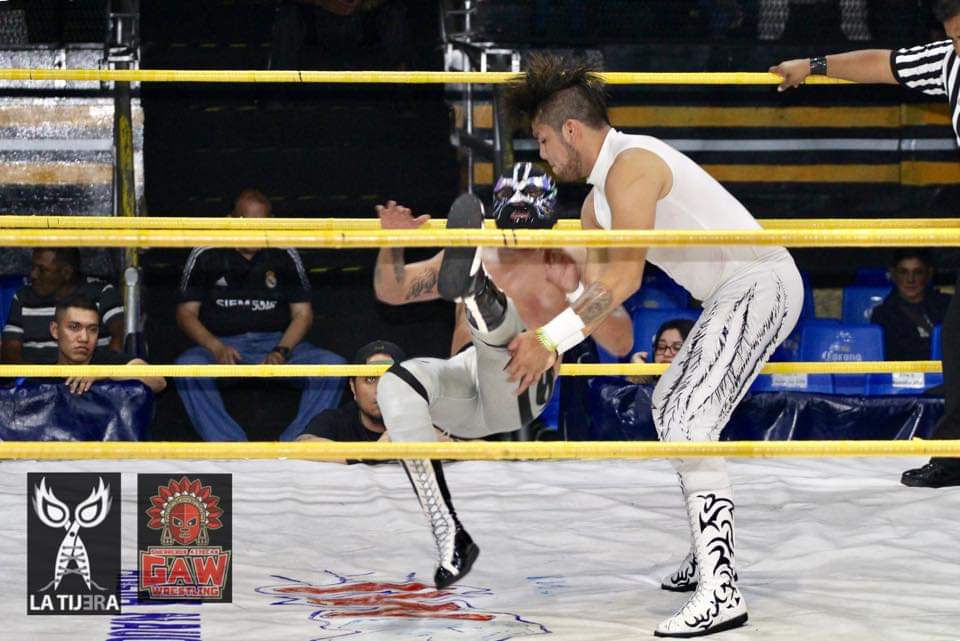 LaTijeraLucha's tweet photo. En la segunda lucha función de domingo en #ArenaNaucalpan el triundoces para la dupla de la joven sensación #PumadeOro y del multifacético #AtomicStar ante unos duros rivales como #NezaKid y #Shalom en la alianza de #IWRG &amp; #GAW en evento para #PALL
#latijeraluchalibre https://t.co/Kbb6mwE00X