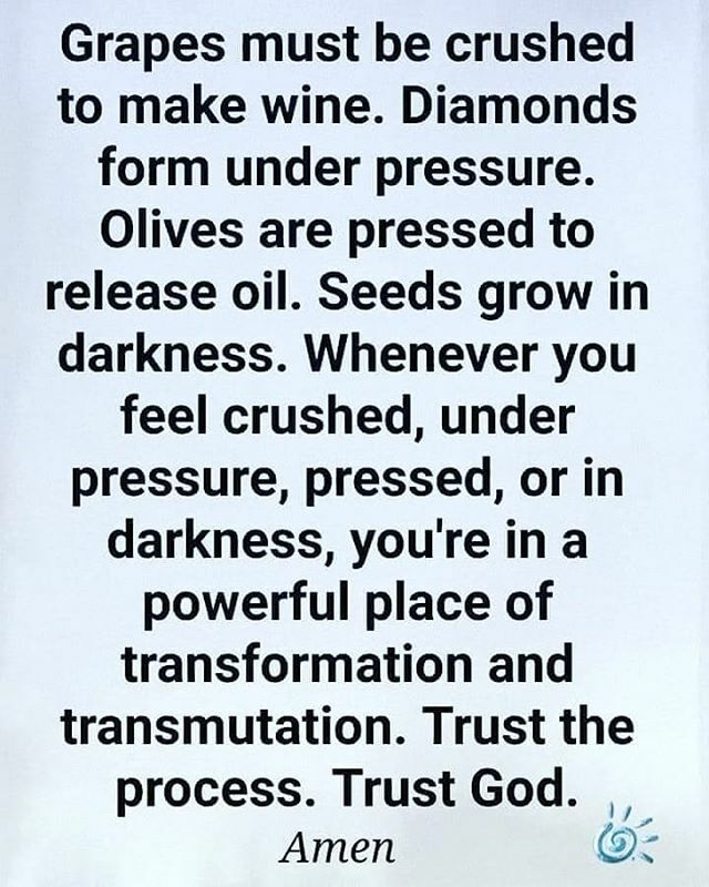 Purple Lady tweet media