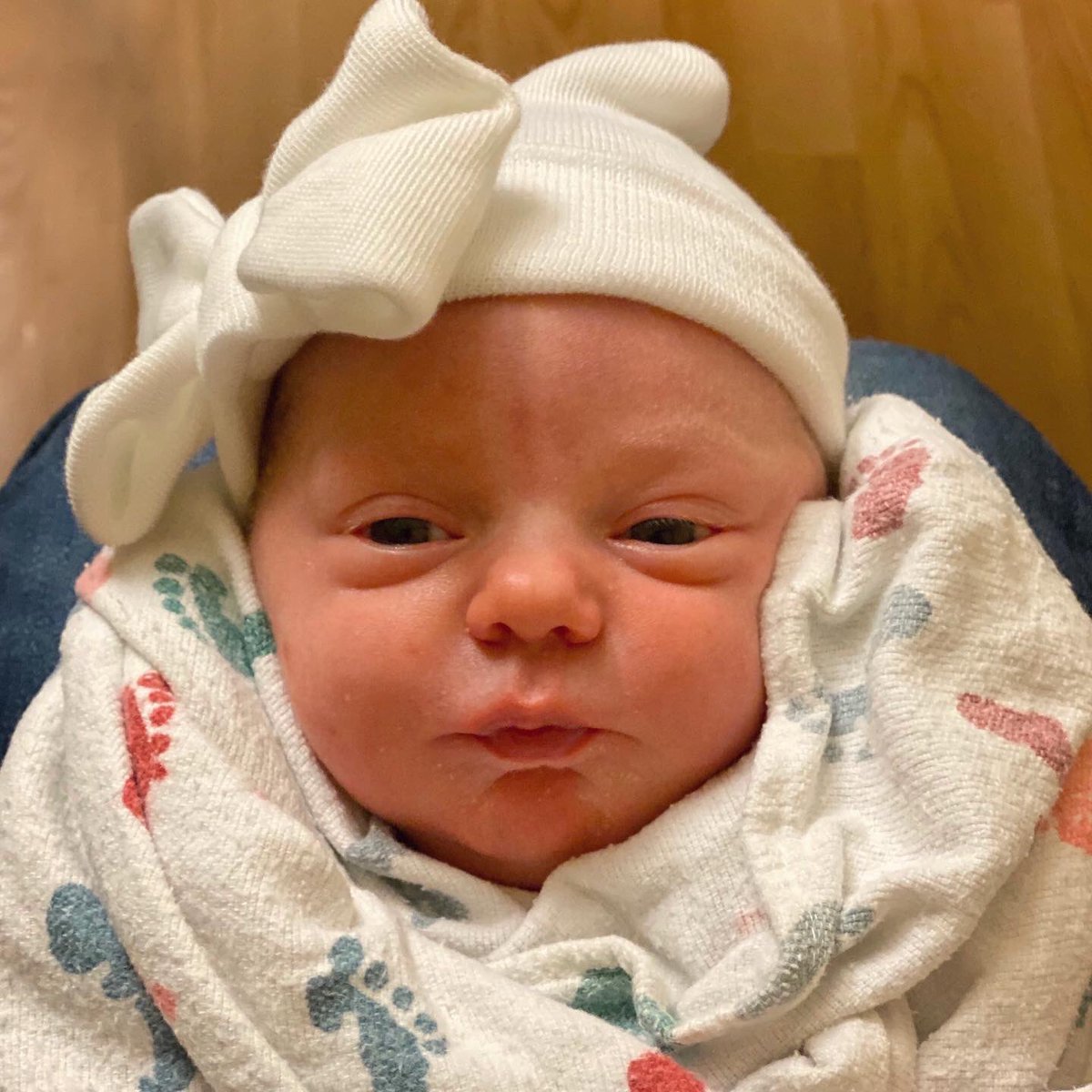 mrsgrafscience's tweet image. We welcomed Elise Anne Graf into this world yesterday! We are so in love 💕
