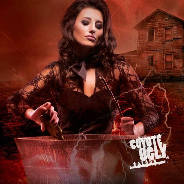 coyoteuglyusa's tweet photo. Don't miss The Haunted Saloon Halloween Party at Coyote Ugly Vegas! Thursday, October 31st! 📷: #coyoteuglyvegas
#coyoteuglylasvegas #vivalasvegas #nynycasino #coyoteugly #coyoteuglysaloon #barlife #bartenderlife #bodyshots #booze #comeparty #coyotelove #girlsonthebar #letsd… https://t.co/ePf4wEkyeo