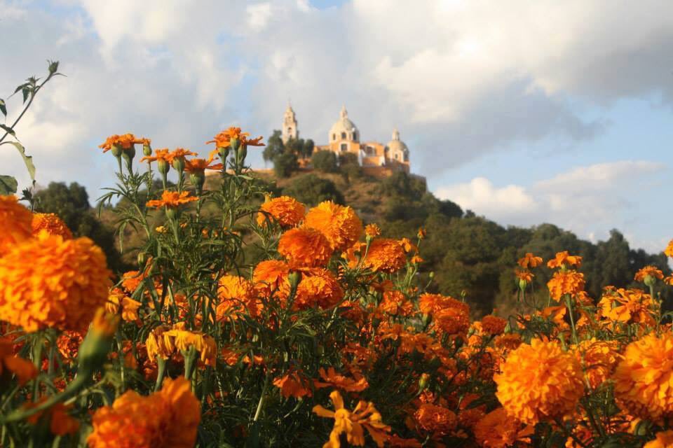 Nos encanta Cholula en octubre. 

#Cholula
#BuenaCervezaBuenaVida