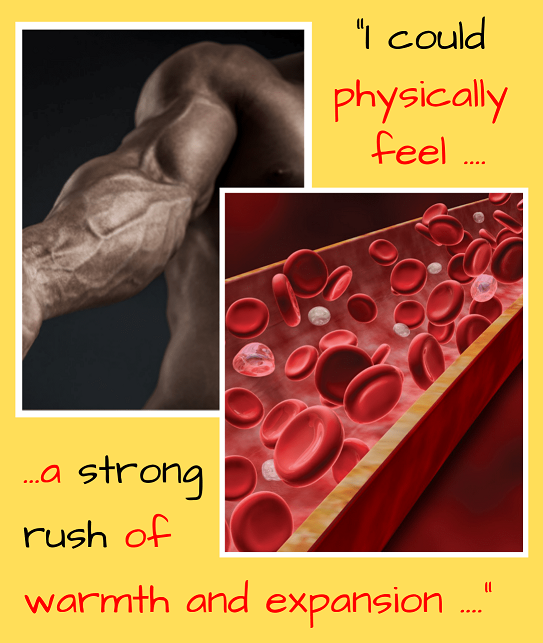 gray_health's tweet photo. Is It Possible for Any Man To Achieve Full Muscle Flexibility, Boost Core Strength And Ramp-Up Alpha Male Power In Just 4 Weeks Of Using This Brand New Superfast Stretching Protocol?👉https://t.co/GgGXvP2dyU👈
#muscle #musclewomen #musclewomen #musculargirl #musclebear https://t.co/6TMPicT0yk