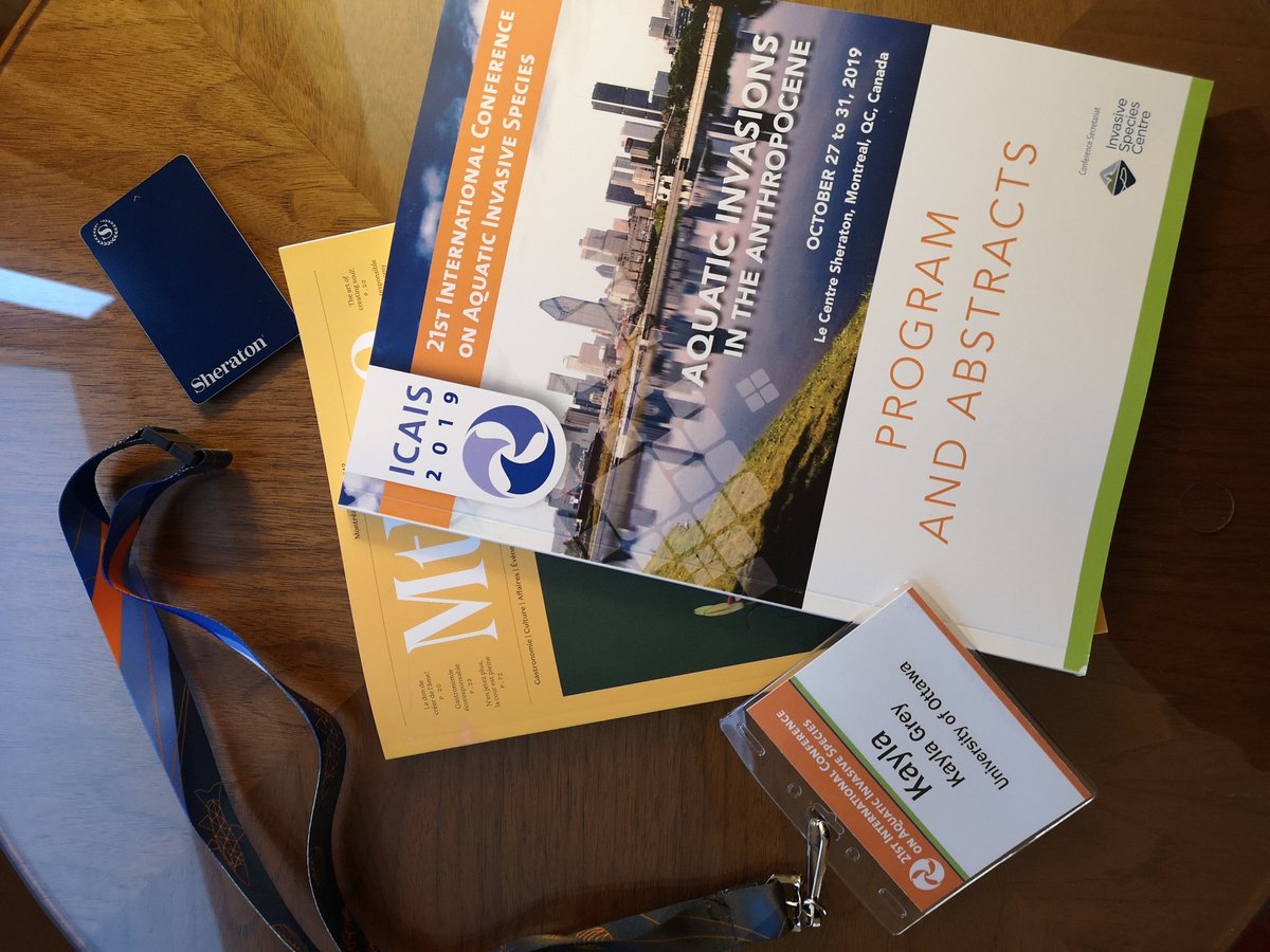_Kayla_Grey's tweet photo. #ICAIS2019  looking forward to the speakers this week! https://t.co/E31hERDl87