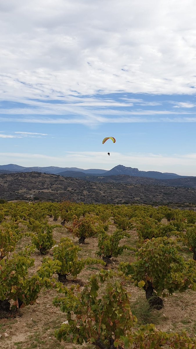 CV Solterra tweet media