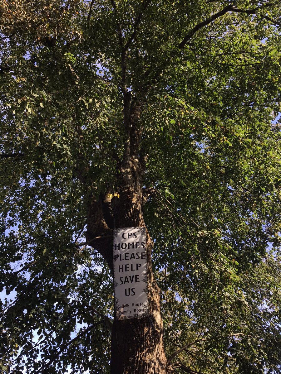 nspugh's tweet image. 5mins away from my home in #Canton #Cardiff. The land was sold to a developer, on appeal perfectly healthy irreplaceable healthy mature trees will be felled. @CanopiCardiff @WalesNP

There value is huge in ongoing environmental services @PEBradbury @JulieJamesAM why please?