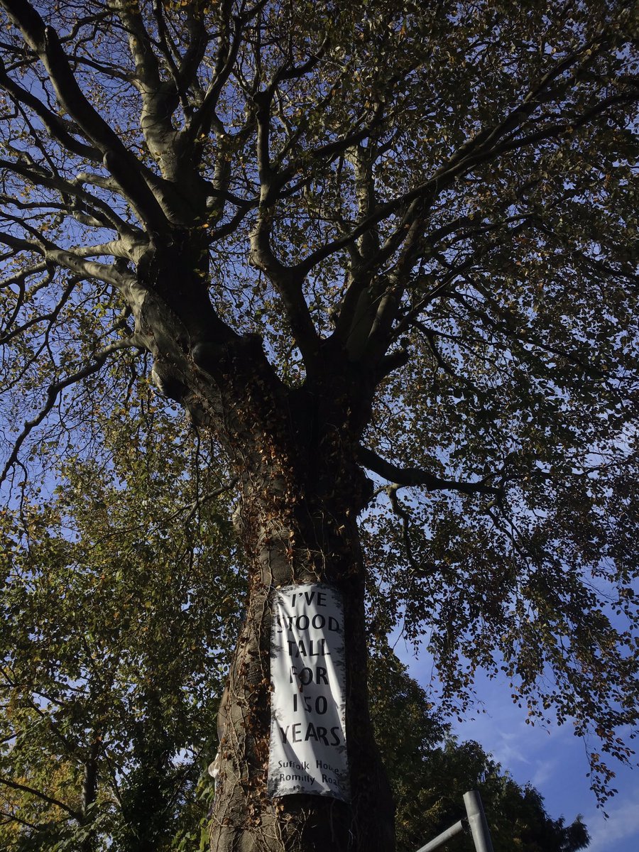 nspugh's tweet image. 5mins away from my home in #Canton #Cardiff. The land was sold to a developer, on appeal perfectly healthy irreplaceable healthy mature trees will be felled. @CanopiCardiff @WalesNP

There value is huge in ongoing environmental services @PEBradbury @JulieJamesAM why please?