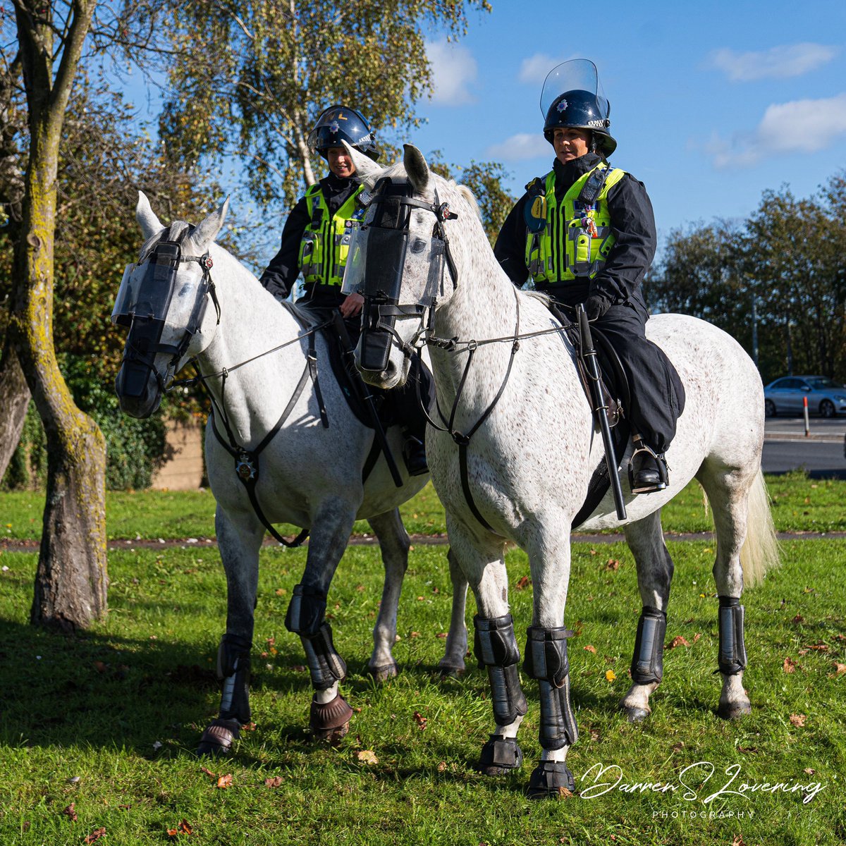 LV72's tweet photo. What a beautiful pair of South Wales Police Horses for the #SouthWalesPoliceOperatuonalSupport  Raw beauty and overwhelming raw power
-
-
#PoliceHorses 
#WorkHorses
#UnFiltered
#UnEdited
#Sonya7iii
#Sony2470GM
#Sony70200GM
#SonyAlphaAnimalPortrait https://t.co/5nKFByxjMN