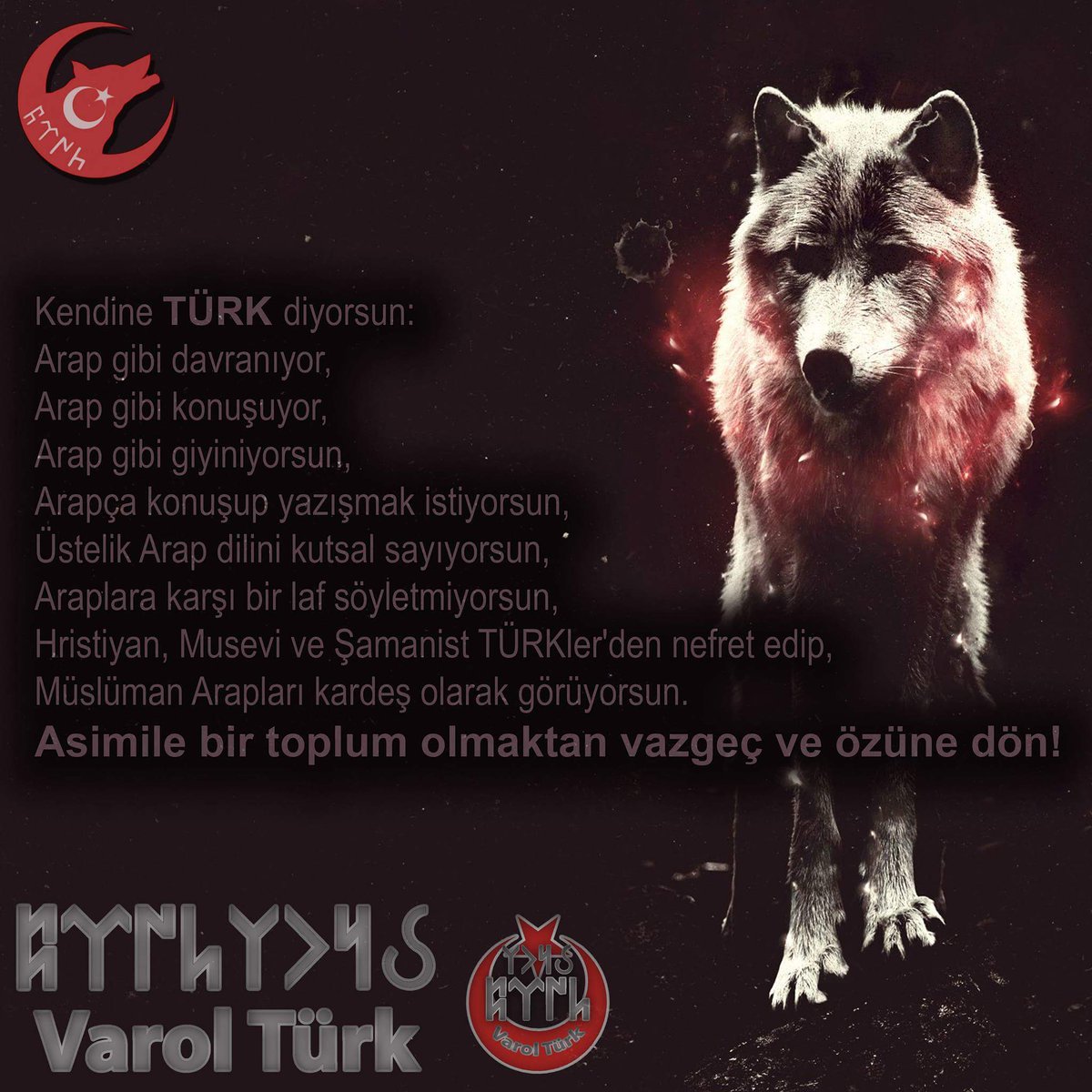 разбитый волк