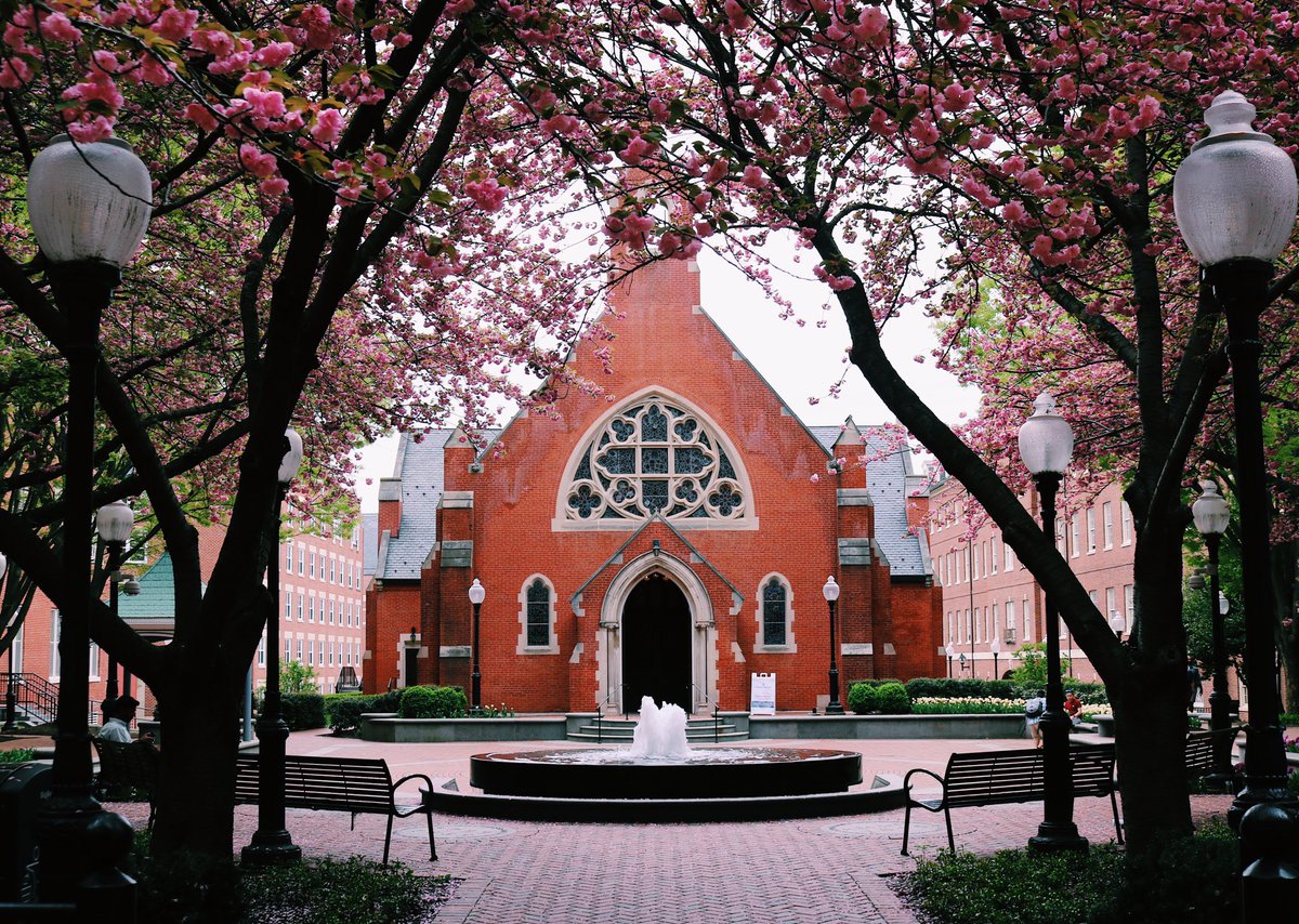 Julia Alvey tweet media