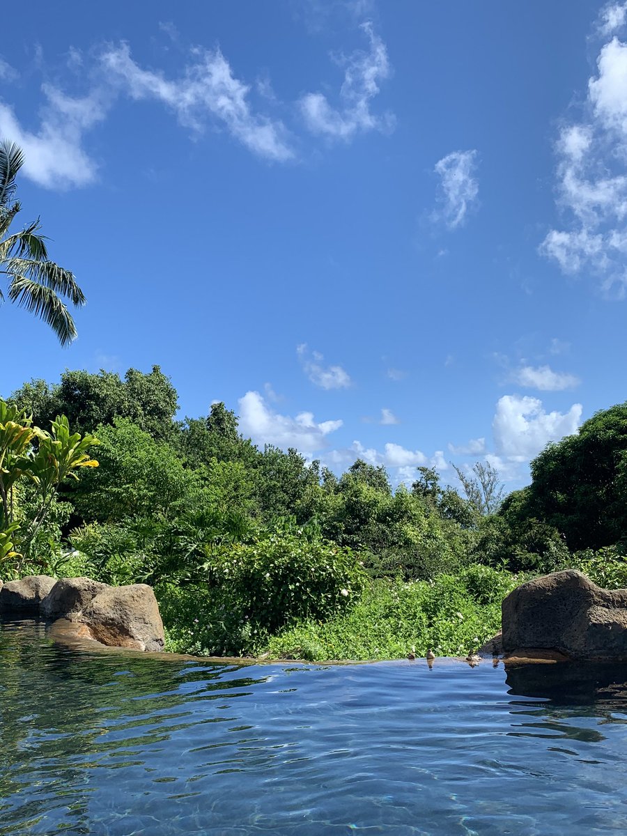 AltTravelBlog's tweet image. No Sunday scaries this week.
#WorkLifeIntegration #consultinglife #PTO #vacation