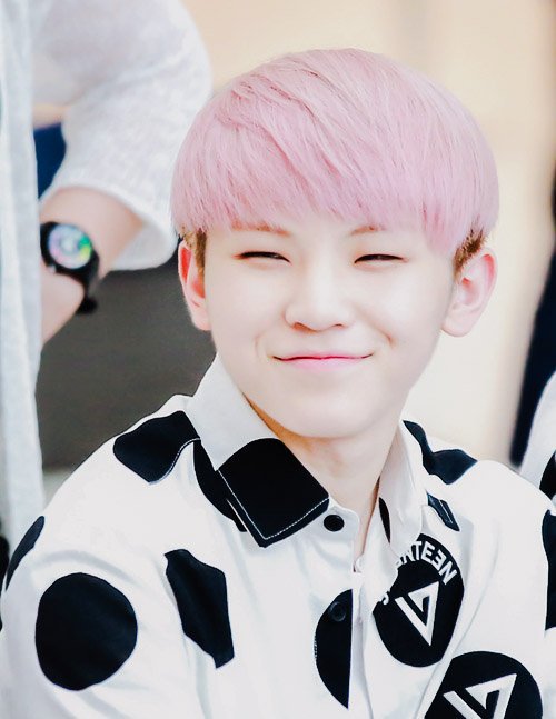 Уджи из seventeen. Уджи севентин. Севентин уджи рост. Джихун севентин. Джихун севентин ли.