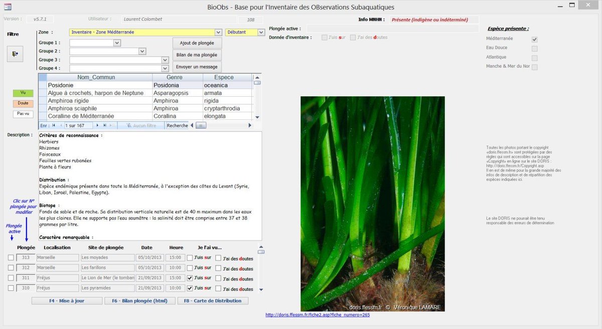 Amis_de_BioObs's tweet photo. Depuis plus de 10 ans, #BioObs est à la disposition de tous les plongeurs et naturalistes. 

Carnet de plongée et outil de formation, les utilisateurs se souviendrons des premiers écrans. https://t.co/tq16jvC3Ln