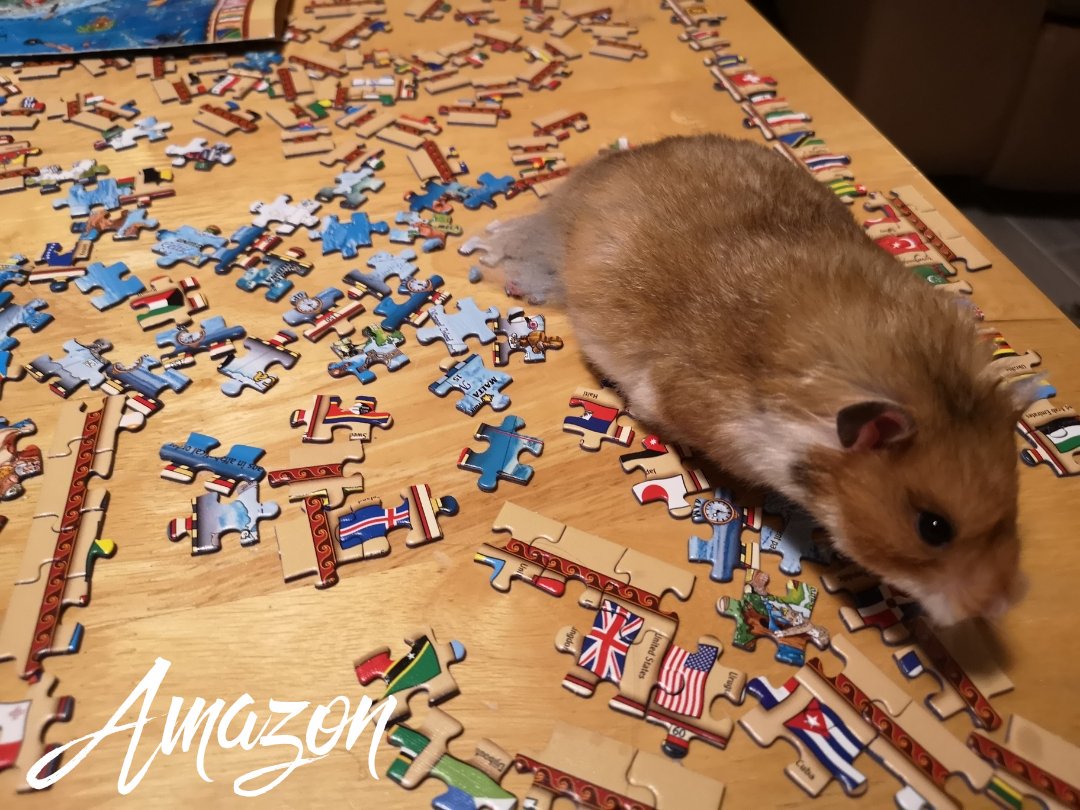 Taio99548957's tweet photo. #HamstersPuzzling
Tweet to get these rescue hamsters famous! https://t.co/xv0Hdj0fc3