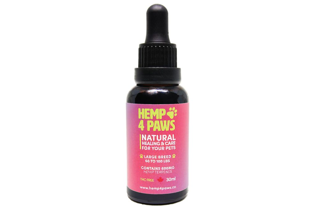 PAWSitively Natural tweet media