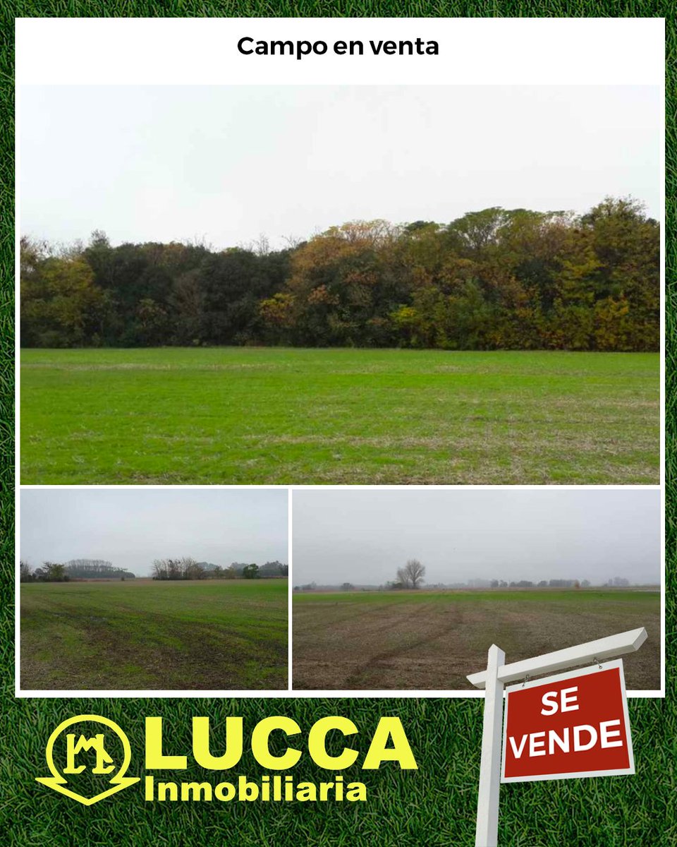 luccaInmo's tweet image. 7.46 hectáreas agrícolas a 3000 metros de ruta provincial 41 por camino real.

Campo agrícola de buenos rindes factible para chacra.

luccainmobiliaria.com.ar/detalle/venta/…