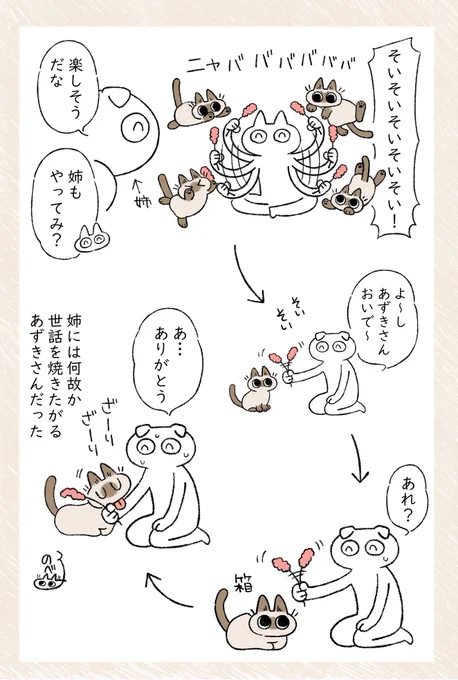 姉とねこじゃらしとあずきさん #ねこ日記 

⇒  #アメブロ @ameba_official 