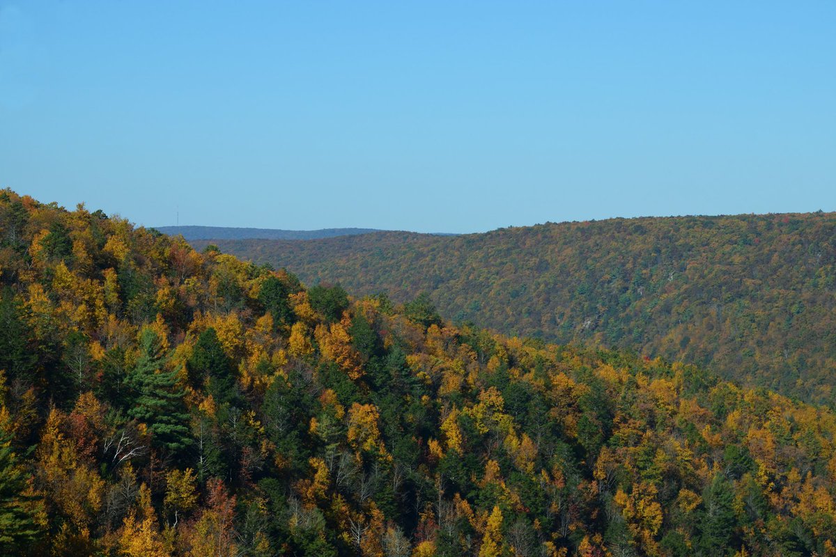 A nice place to #sitforabit

#photography #NaturePhotography #Pennsylvania #somethingnice