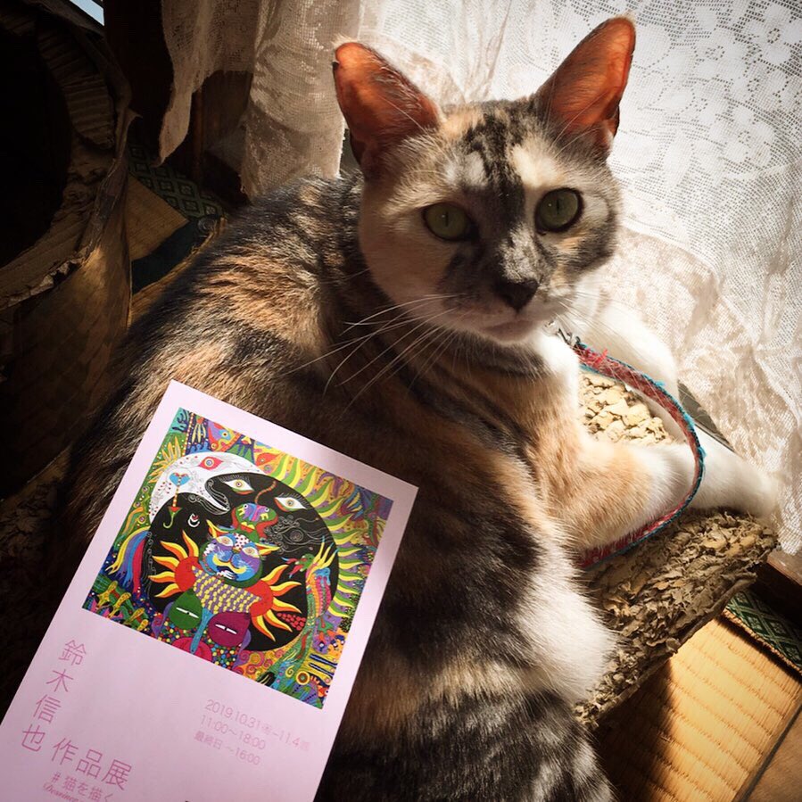 鈴木信也 猫の絵 肉筆 - 絵画