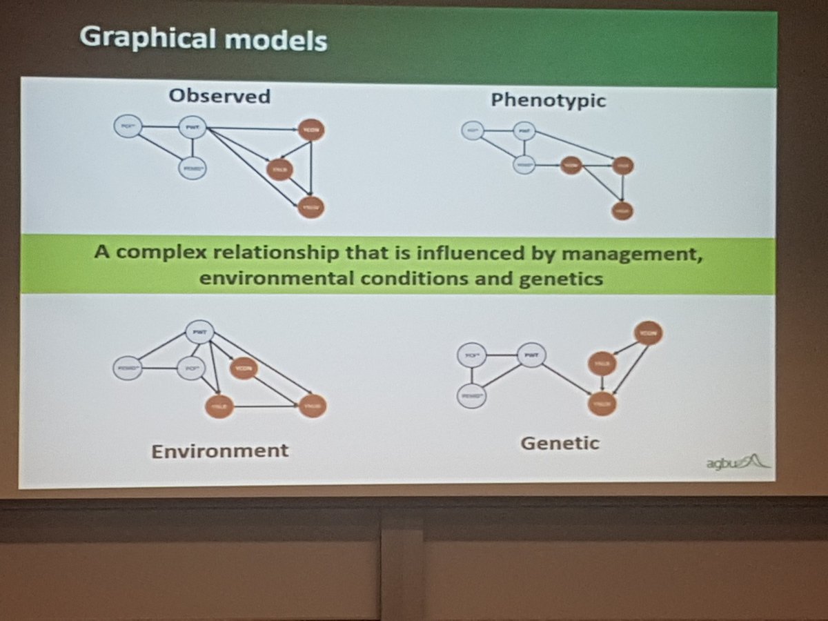 Great presentation by @sammyw1987 from @AGBU_GENE with an interesting way of looking at causation vs correlation between traits using  #GraphicModels during @aaabg2019