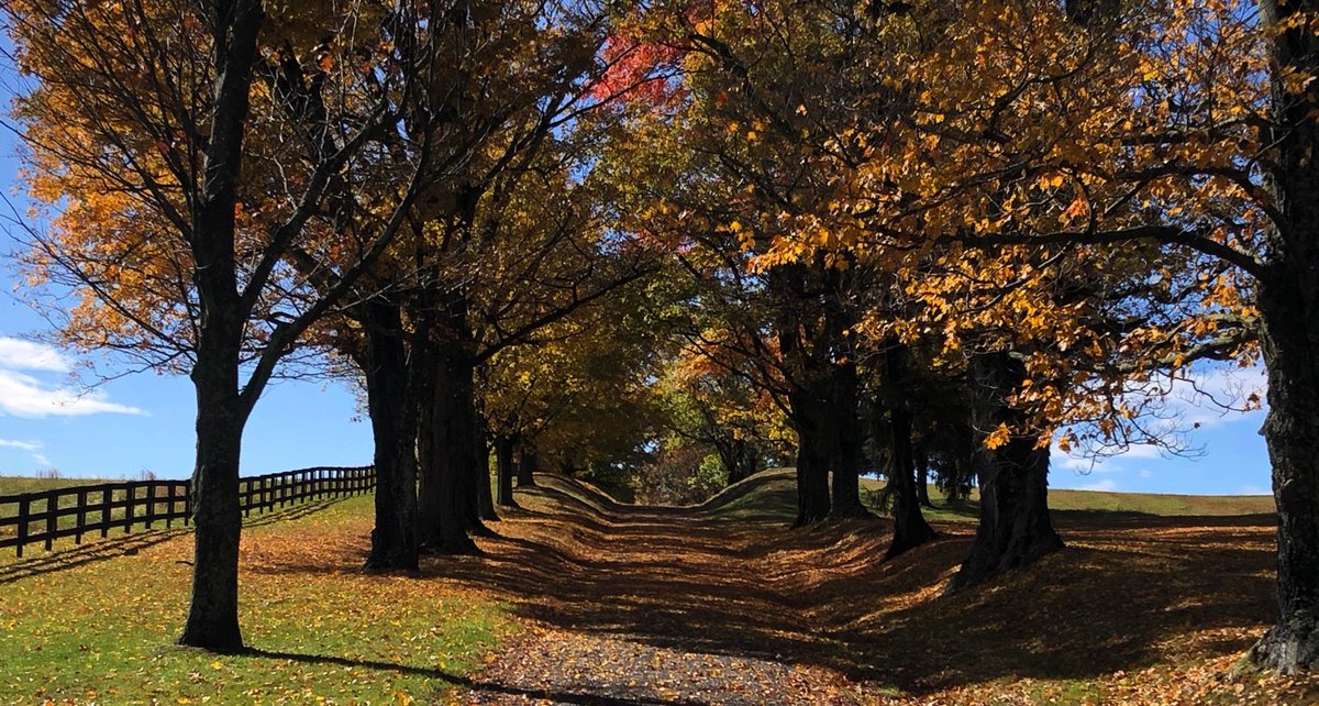 BRJonesRVHS's tweet photo. Beautiful walk after the rains moved on. https://t.co/xB4XWWn5G8