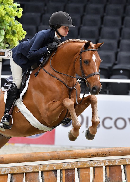 WIHS's tweet photo. Samantha Takacs and Brighton Take Top Pony Hunter Honors at Washington International Horse Show: https://t.co/ZpezmrJkgX #WIHS2019 #horsesinthecity https://t.co/NJervAsVTu