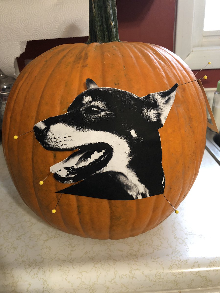 I decided to try and be a little more creative with my pumpkin this year and carve Boo! I’m not artistic AT ALL, and it was a little tricky, but I love how it turned out!! What do you think?  #uglydogs Also one of my favorite pics of Boo from Doty!  @BlairBraverman