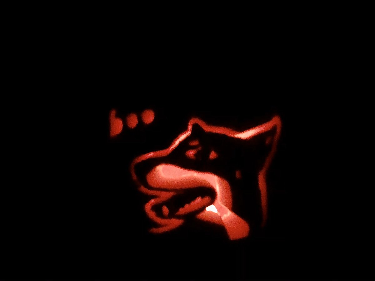 I decided to try and be a little more creative with my pumpkin this year and carve Boo! I’m not artistic AT ALL, and it was a little tricky, but I love how it turned out!! What do you think?  #uglydogs Also one of my favorite pics of Boo from Doty!  @BlairBraverman