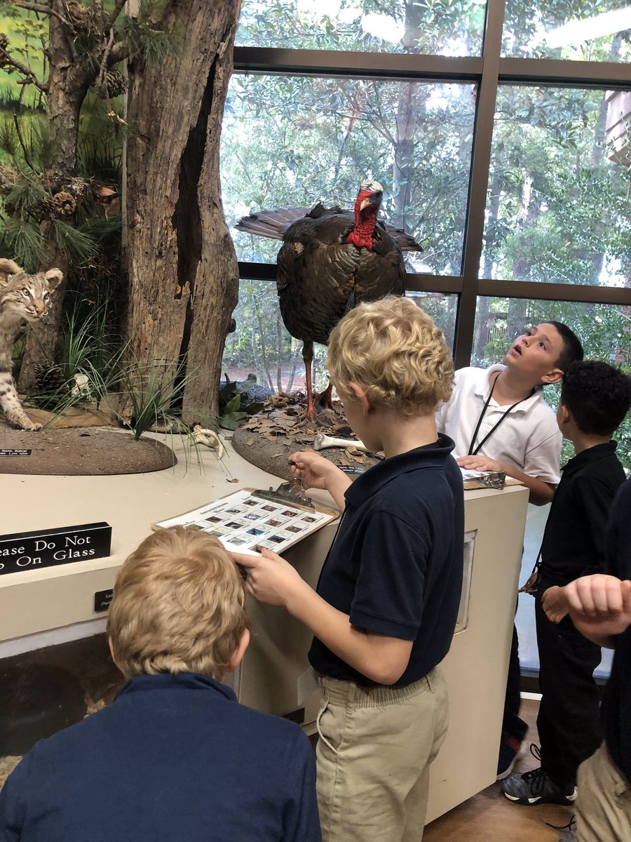 DeighEbony's tweet photo. Learning came alive on our field trip to @GASouthernNews Georgia Southern Wildlife Center.🦅💙💛@Ckanderson_LCSS @kiboucher @jlee_les @LibertyMickeyD https://t.co/AryKh9ZV2o