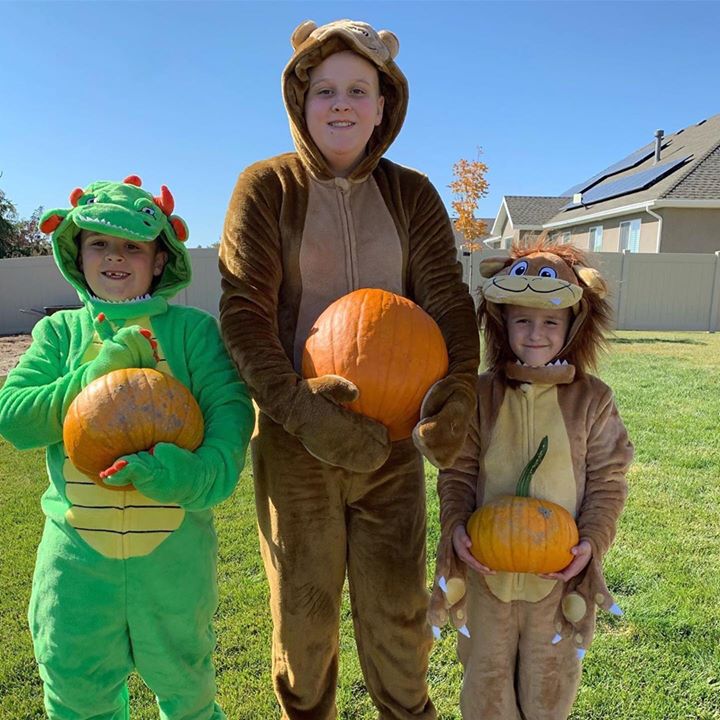FlappySuits's tweet image. Are you pumpkin pickin’ on this #SundayFunday?
📸: @the.herd.life