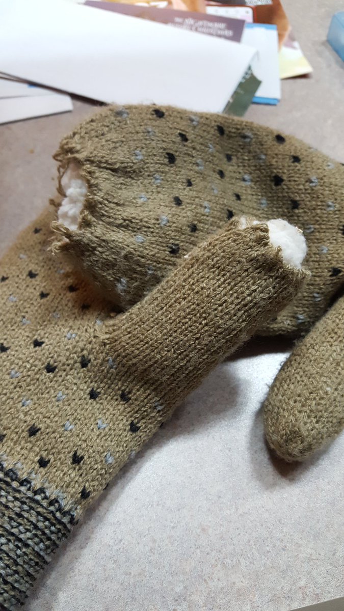 squigglykitten's tweet photo. Great. One week of my new Isotoner mittens and they're already falling apart. I am so disappointed because they're so fuzzy. Thankfully I can mend them. https://t.co/mIJfMAjxXK