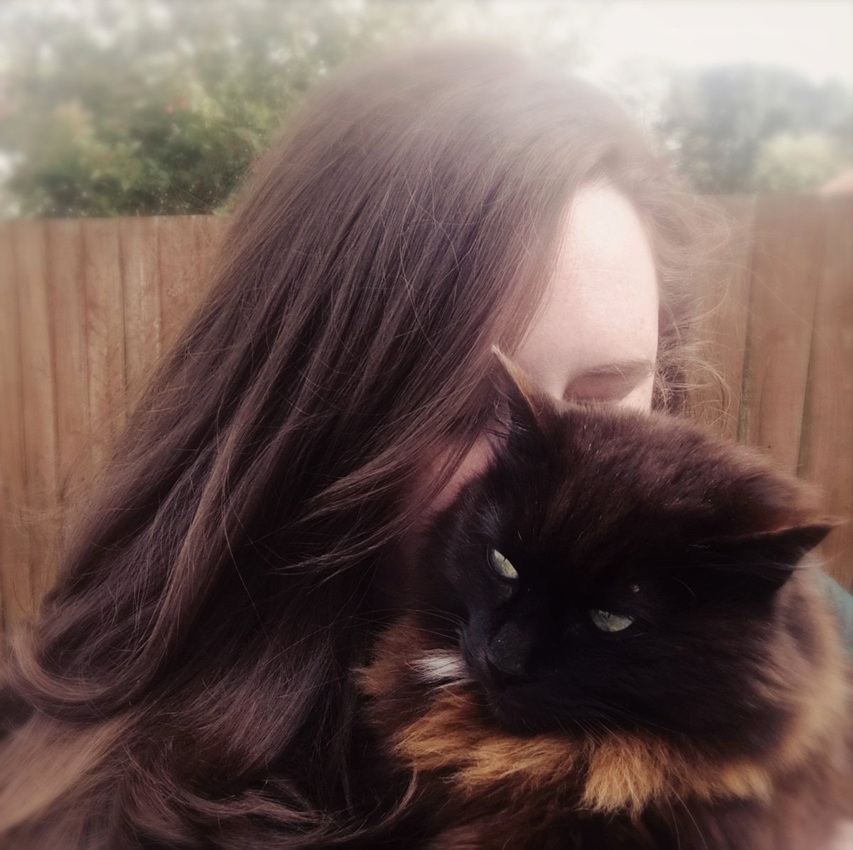 KAFender_Oxford's tweet photo. As National Black Cat Day is drawing to a close, a shout-out to my favourite shadowy, cwtchy, witchy sidesick: Echo. 🐾

#blackcats #blackcatday #fluffball #cat #cats #feline #kitty #animals #cwtchy #catsontwitter #nationalblackcatday #cuddly @Animals @MicrostockA @wildlife__pics https://t.co/mVuGdN97cp