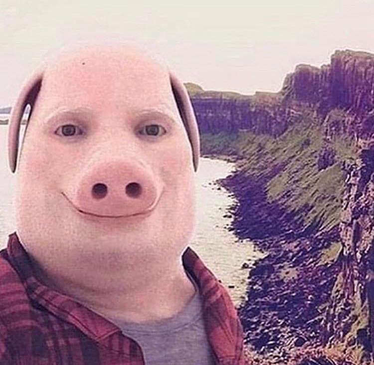 John McKenna (@djcattlewhompus) on Twitter photo 