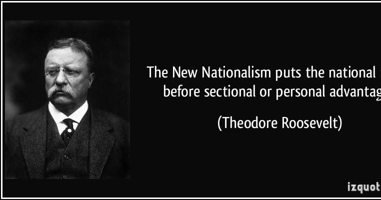 New nationalism theodore roosevelt flying mole ca s10 ebay