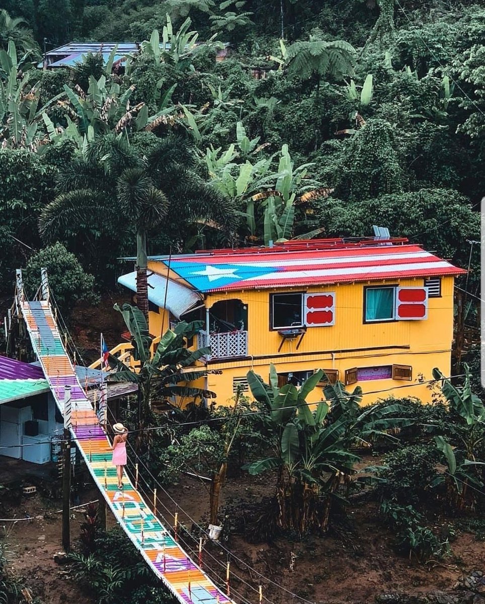 PRHermoso's tweet photo. #Adjuntas 🇵🇷
📸: srdjan2010 https://t.co/iHhwyRKnkD